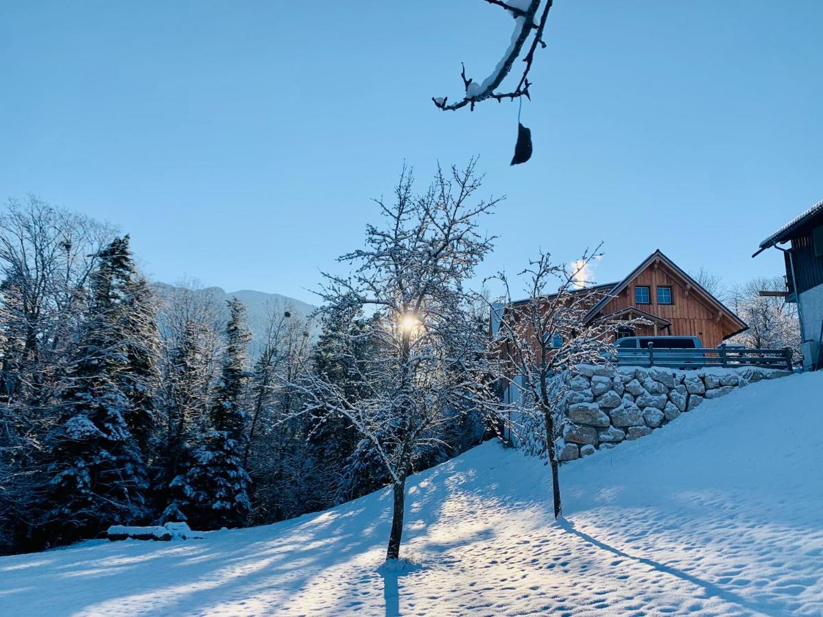 Bergheimat Appartement Bad Goisern Buitenkant foto